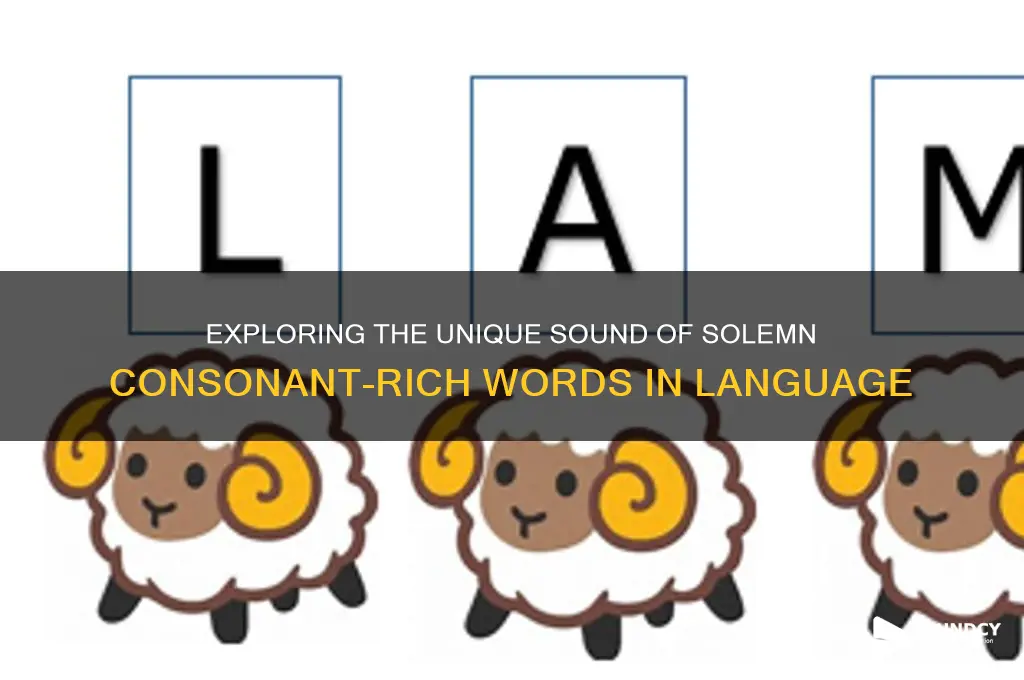is solemn sounded consonant words