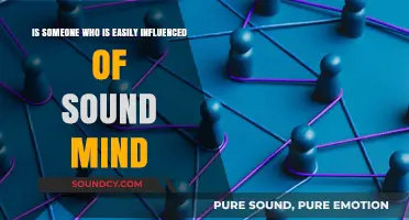 Exploring the Balance: Influence and Mental Soundness