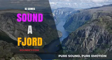 Is Some Sound a Fjord? Unraveling the Mystery of Coastal Geographies