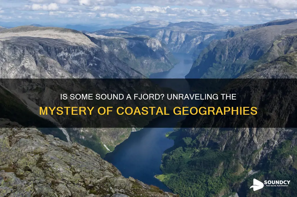 is somes sound a fjord
