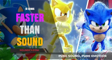 Is Sonic Really Faster Than Sound? Exploring the Hedgehog's Speed
