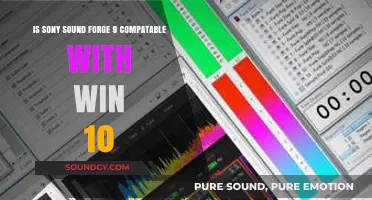 Exploring Sony Sound Forge 9's Compatibility with Windows 10