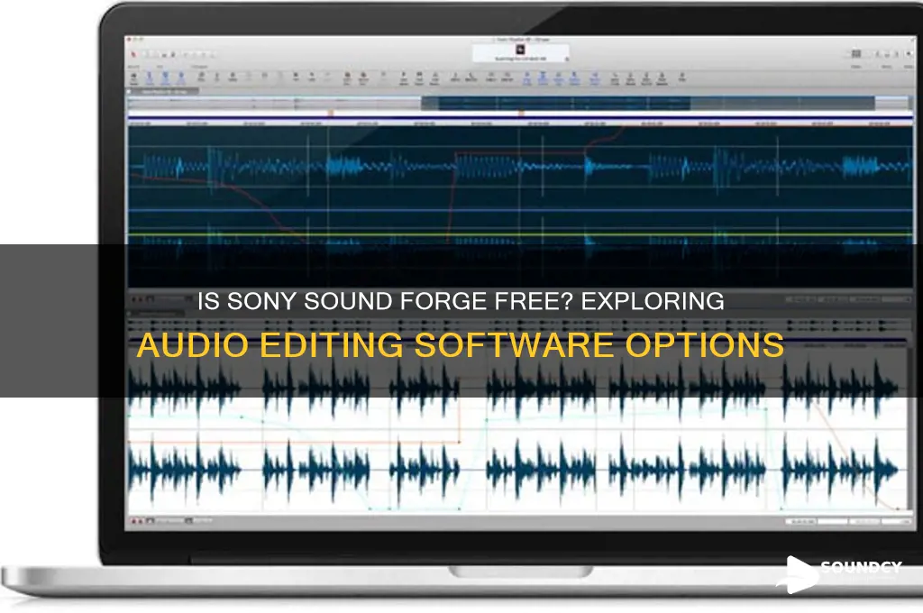 is sony sound forge free