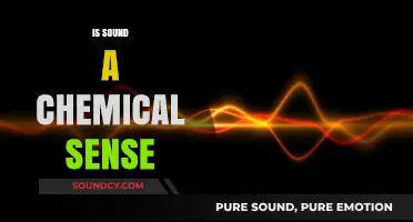 Is Sound a Chemical Sense? Exploring the Science Behind Hearing