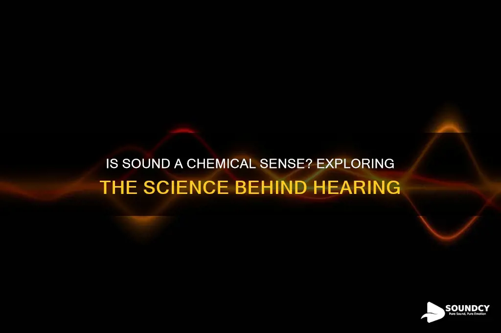 is sound a chemical sense