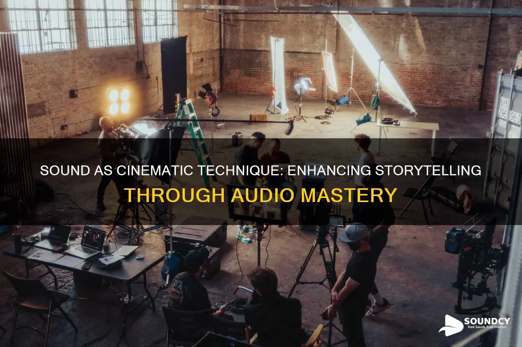 is sound a cinematic techniques