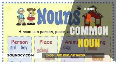 Is Sound a Common Noun? Exploring Grammar and Language Basics