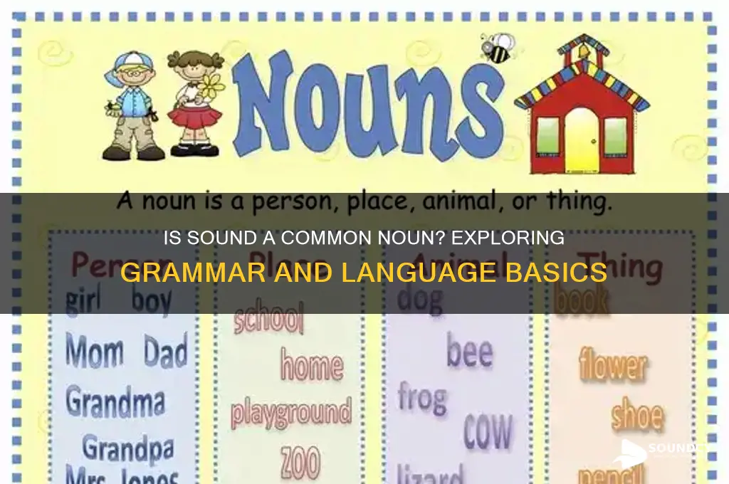is sound a common noun