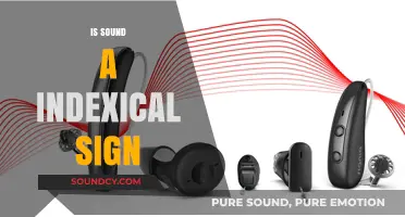 Is Sound an Indexical Sign? Exploring Semiotics and Auditory Connections