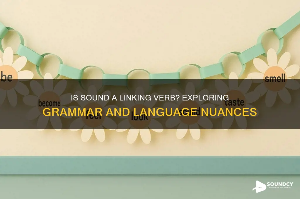 is sound a linking verb
