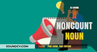 Is Sound a Noncount Noun? Exploring Grammar and Language Rules