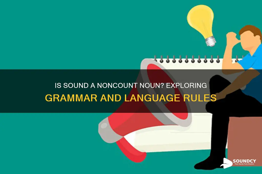 is sound a noncount noun