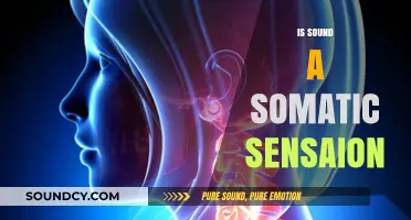 Is Sound a Somatic Sensation? Exploring the Mind-Body Connection