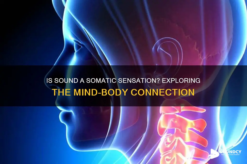 is sound a somatic sensaion