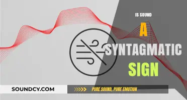 Is Sound a Syntagmatic Sign? Exploring Language and Semiotics