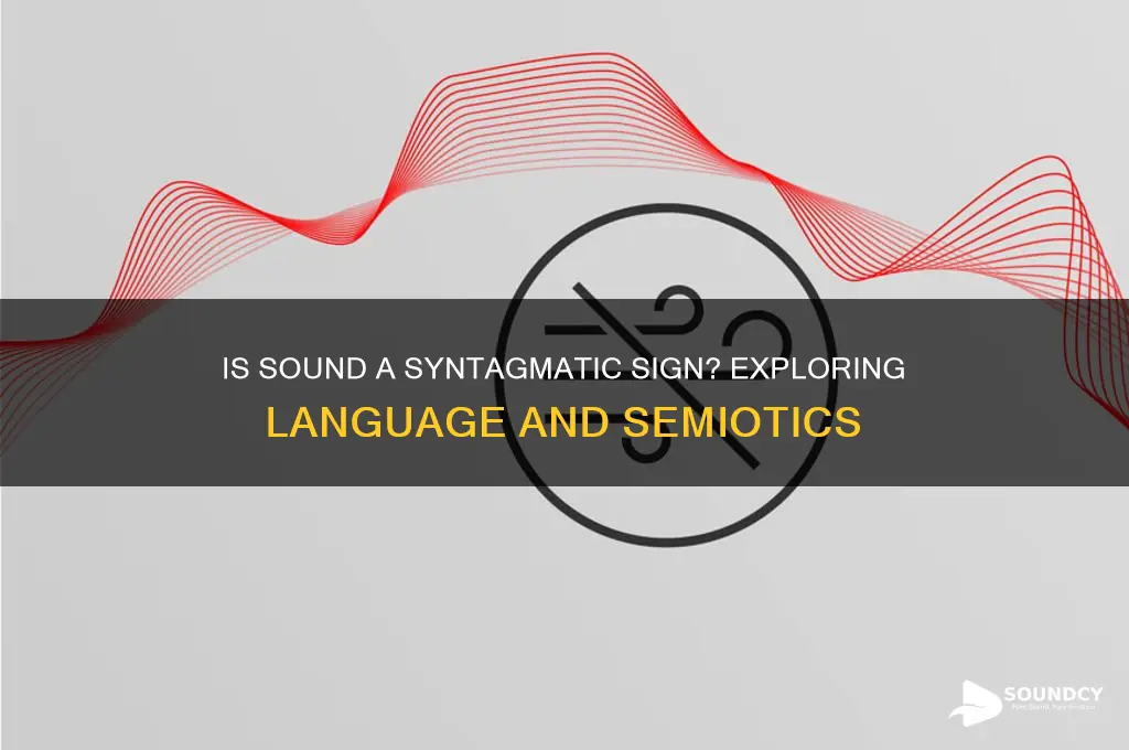 is sound a syntagmatic sign