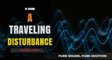 Is Sound a Traveling Disturbance? Exploring the Science of Waves
