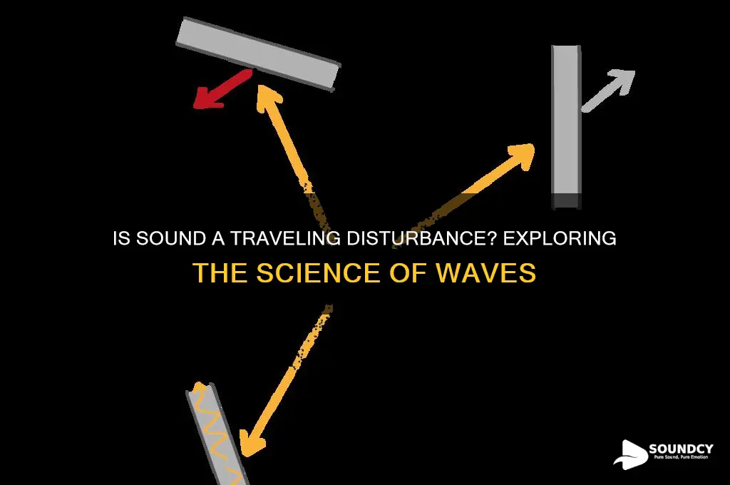 is sound a traveling disturbance