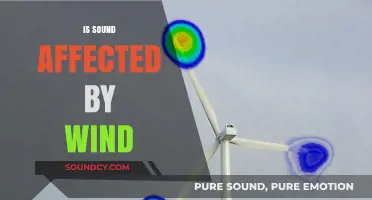 How Wind Influences Sound: Exploring the Impact of Airflow on Acoustics