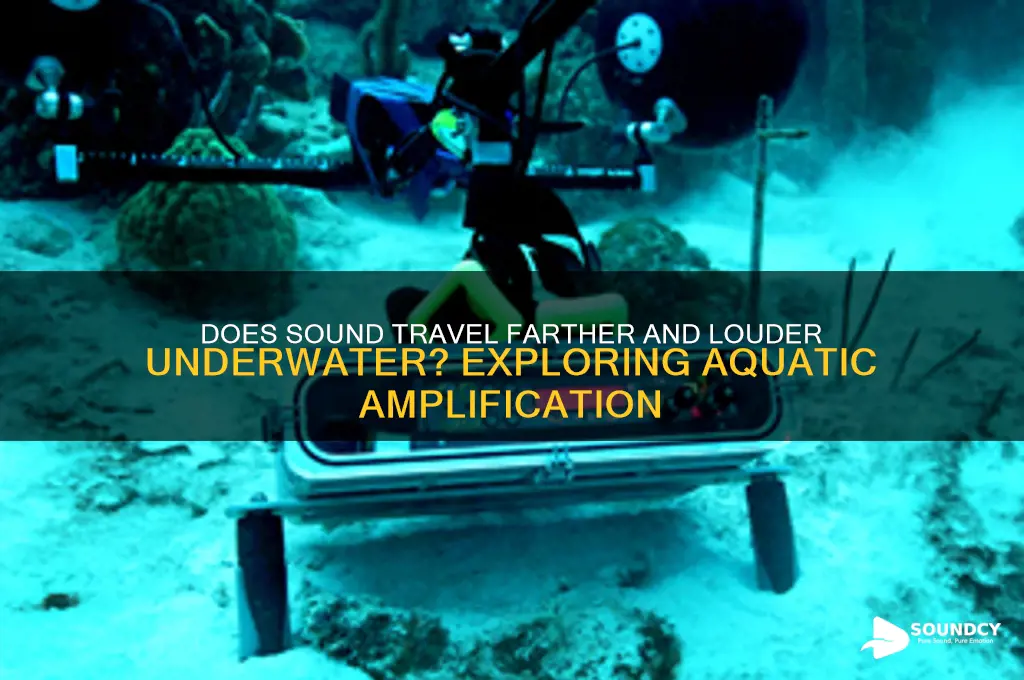 is sound amplified in water
