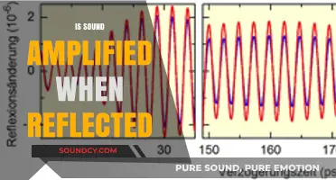 Does Sound Amplify When Reflected? Exploring Acoustic Reflection Phenomena