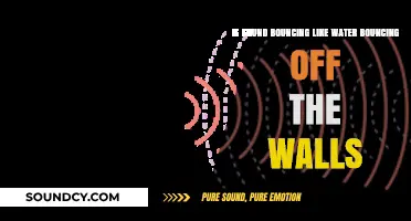 Echoes and Reverberations: The Science of Sound Reflection