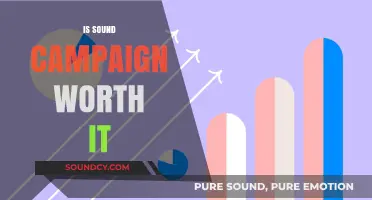 Is a Sound Campaign Worth the Investment? Pros, Cons, and ROI