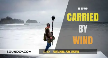 How Wind Influences Sound Travel: Exploring the Science Behind It