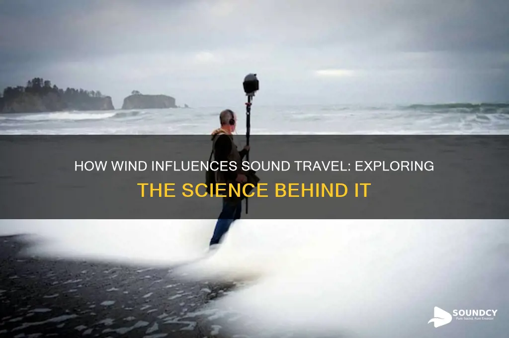 is sound carried by wind