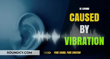 Unraveling the Mystery: How Vibrations Create the Sounds We Hear