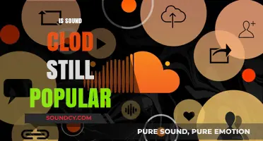 Is Soundcloud Still Relevant in Today's Music Streaming Landscape?