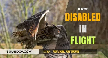 Is Sound Disabled in Flight? Unraveling the Mystery of In-Flight Silence