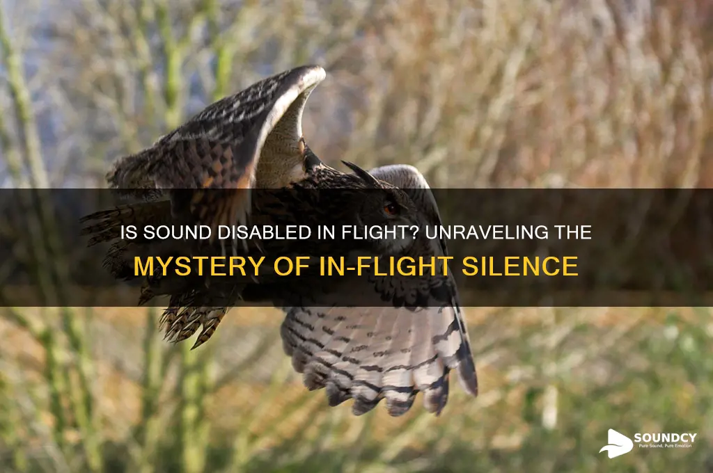 is sound disabled in flight