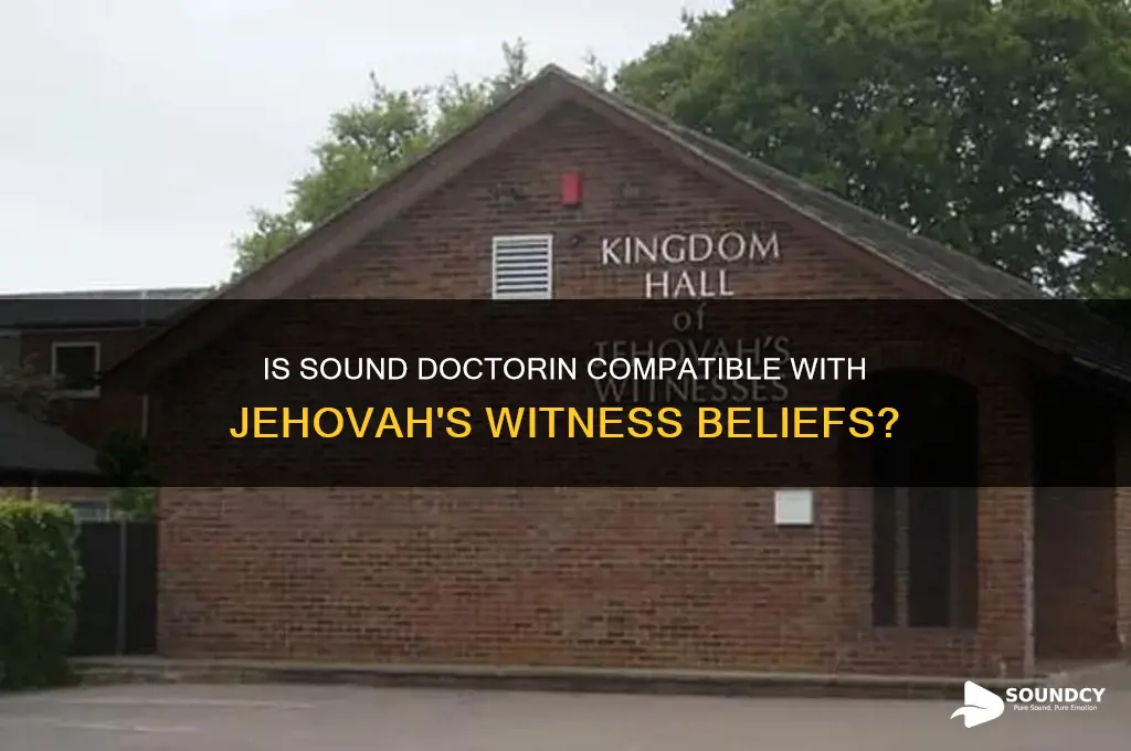 is sound doctorin jehovah witness