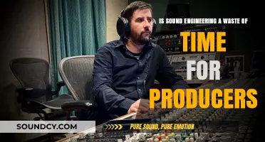 Debunking Myths: Is Sound Engineering Really Worth It for Producers?