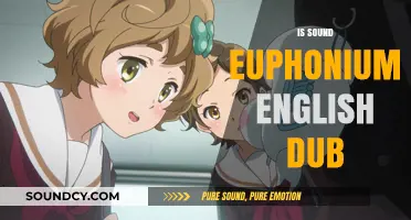Is Sound! Euphonium English Dub Worth Watching? A Review