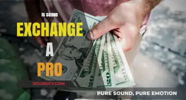 Is SoundExchange a Pro Tool for Artists? Exploring Its Benefits