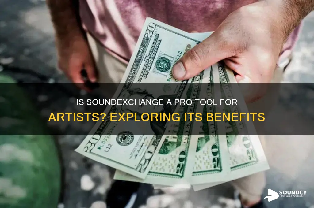 is sound exchange a pro