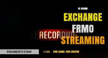 Is SoundExchange Compensating Artists Fairly for Streaming Royalties?