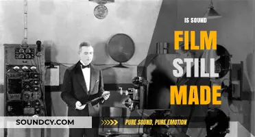 Are Sound Films Still Made? Exploring the Evolution of Cinema