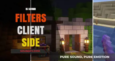Are Sound Filters Client-Side? Understanding Audio Processing Locations