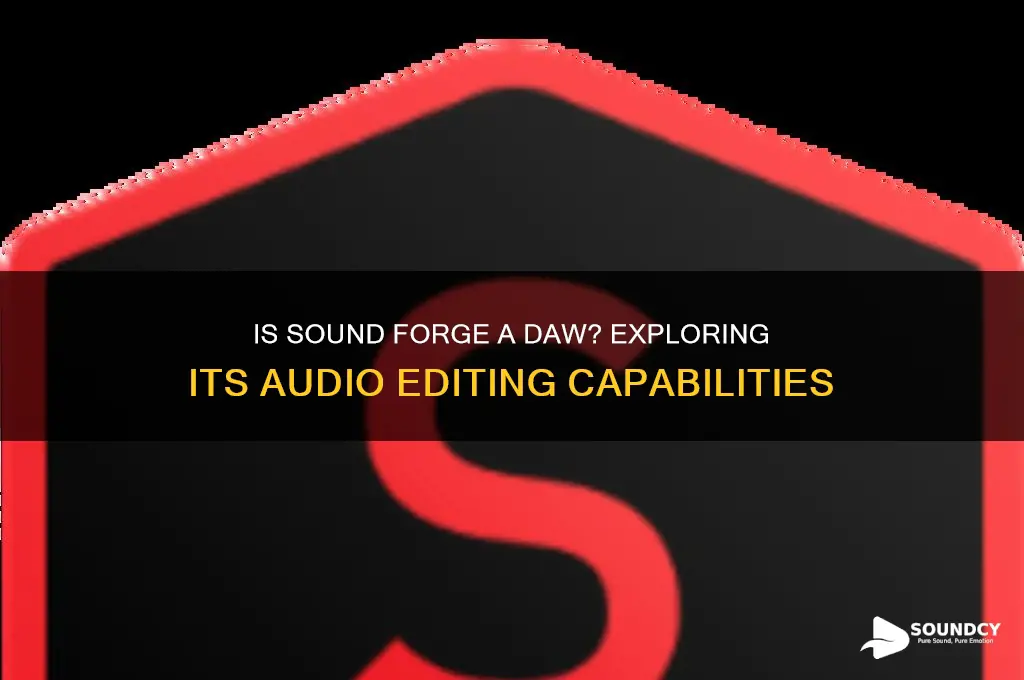is sound forge a daw