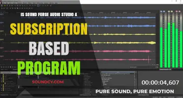 Exploring Sound Forge Audio Studio: Subscription Model Unveiled