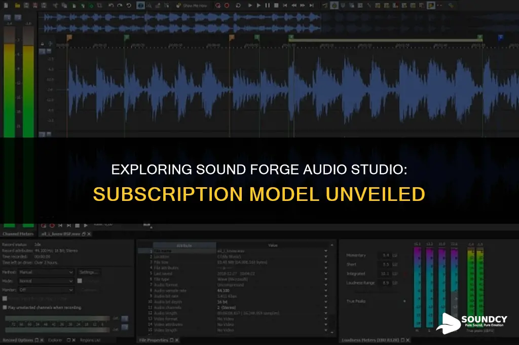 is sound forge audio studio a subscription based program