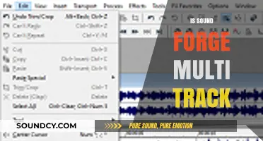 Is Sound Forge Multi-Track? Exploring Its Audio Editing Capabilities