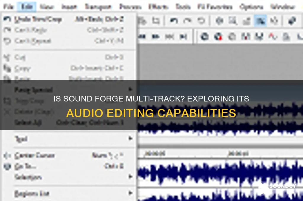 is sound forge multi track