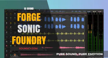 Is Sound Forge by Sonic Foundry the Ultimate Audio Editing Tool?