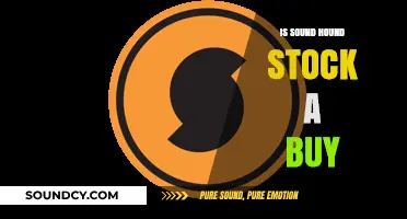 SoundHound Stock: Is It Worth Buying?