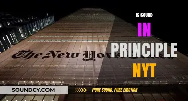 Is Sound in Principle: NYT's Ethical Journalism Under Scrutiny