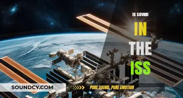 Does Sound Exist in the ISS? Exploring the Silence of Space